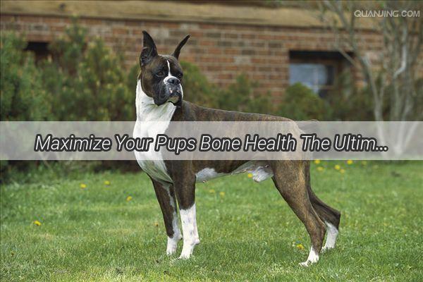 Maximize Your Pups Bone Health The Ultimate Guide to Feeding Calcium Supplements to Dogs